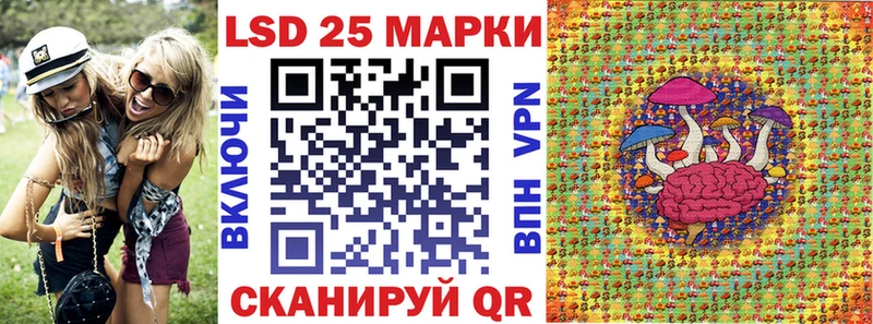 закладки  Сосновый Бор  Марки N-bome 1500мкг 